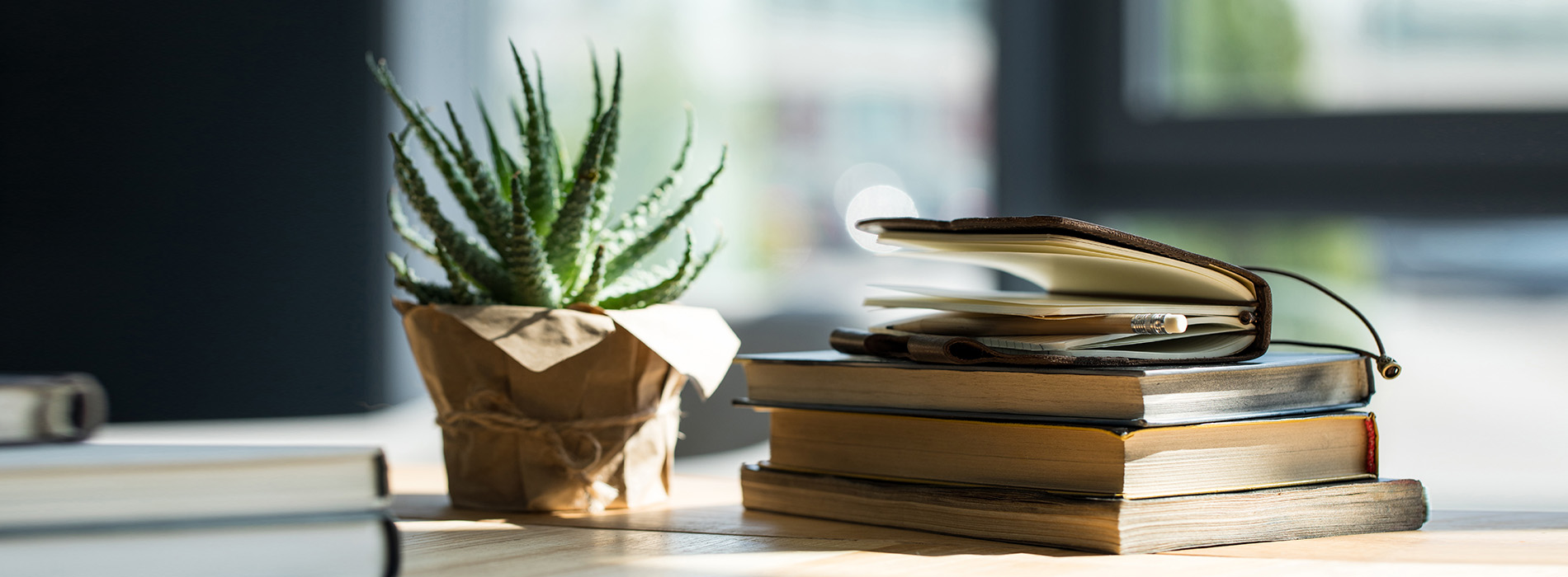 The image shows a desk with multiple books stacked on top of each other, accompanied by a potted plant and a small wooden container.